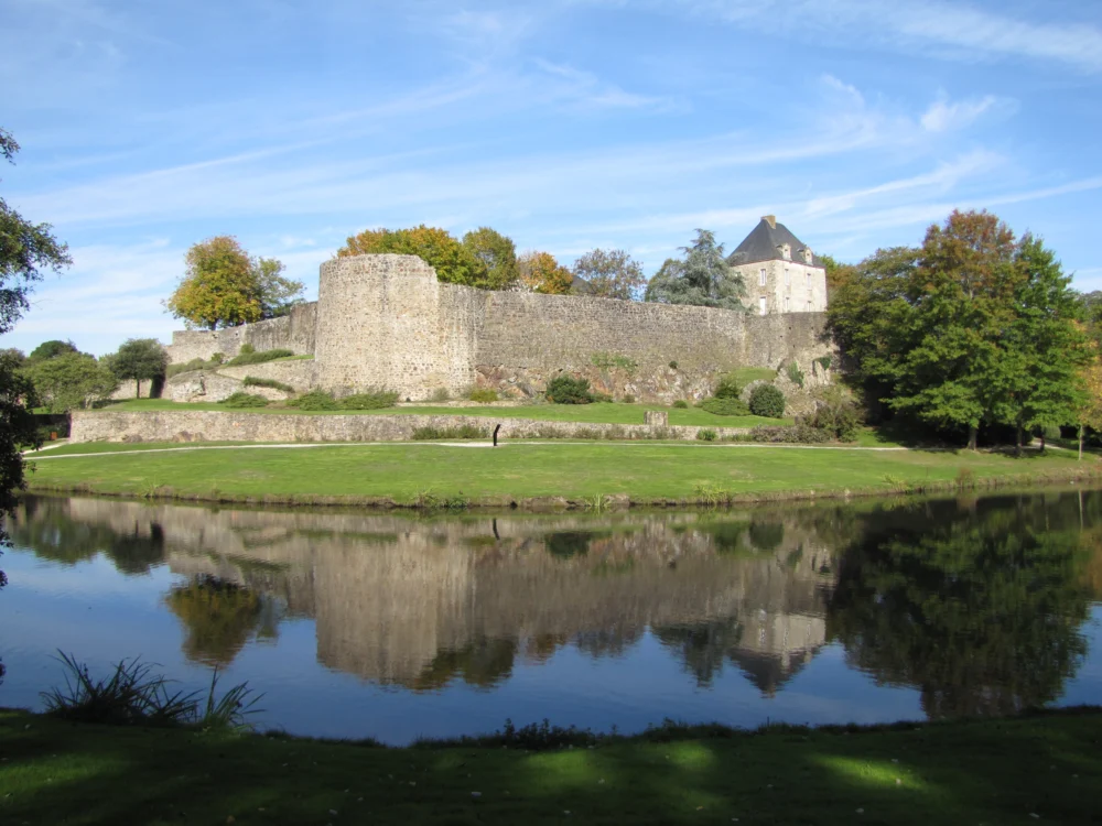 Vestiges du château et des fortifications de Montaigu